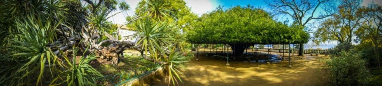 ליסבון Retreat View Tagu River מראה חיצוני תמונה